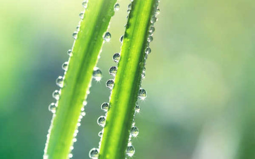 Jual Poster Earth Water Drop APC 083