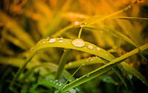 Jual Poster Earth Water Drop APC 098