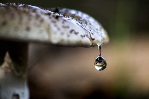 Jual Poster Earth Water Drop APC 142
