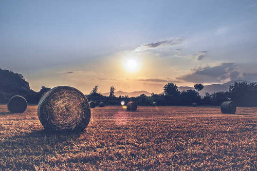 Jual Poster Field Haystack Landscape Nature Sun Earth Field APC