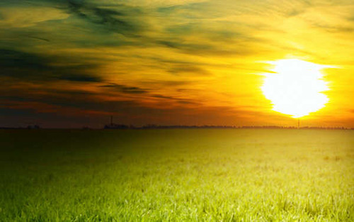 Jual Poster Field Landscape Nature Sun Earth Sunset APC