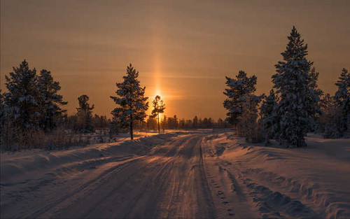 Jual Poster Fir Tree Road Sunset Tree Winter Earth Sunset APC10