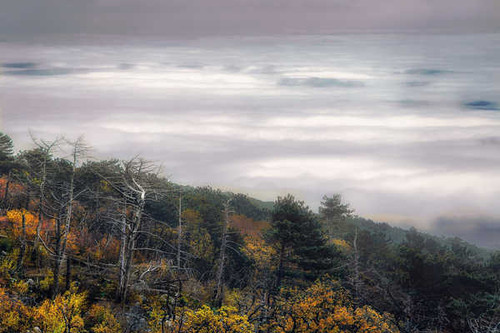 Jual Poster Fog Horizon Nature Earth Fog APC 001