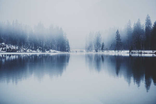 Jual Poster Fog Lake Reflection Winter Lakes Lake APC