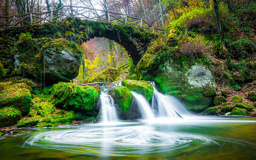 Jual Poster Forest Green Waterfall Waterfalls Waterfall1 APC