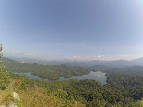 Jual Poster Forest Malaysia River Earth Landscape APC