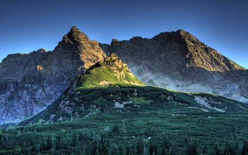Jual Poster Forest Poland Tatra Mountains Mountain APC