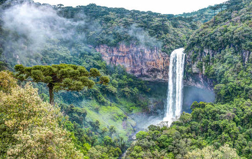 Jual Poster Forest Rainforest Rock Valley Waterfall Waterfalls Waterfall APC