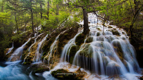 Jual Poster Forest Rock Tree Waterfall Waterfalls Waterfall APC