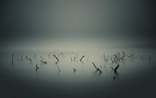 Jual Poster Gray Horizon Water Wood Earth Water APC