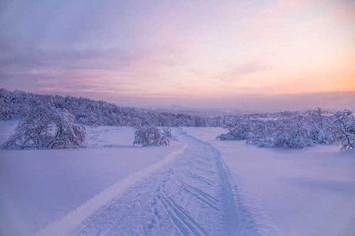 Jual Poster Horizon Landscape Nature Snow Winter Earth Winter APC 002