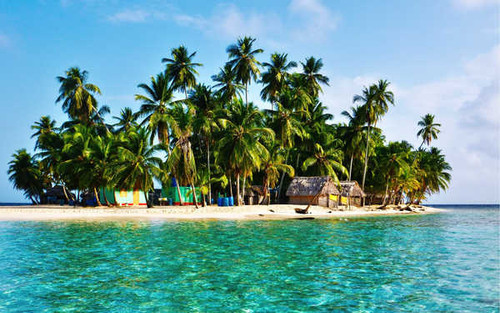 Jual Poster Island Ocean Palm Tree Tropical Earth Island APC