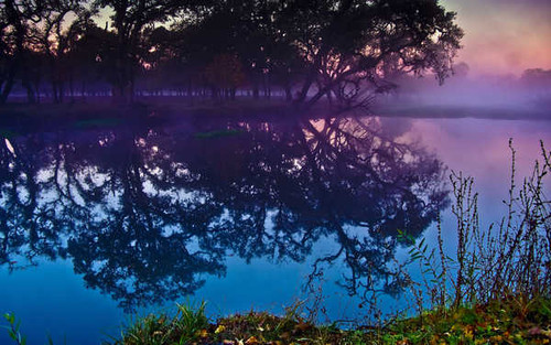 Jual Poster Lagoon Reflection Tree Water Earth Lagoon APC