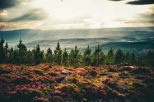 Jual Poster Landscape Earth Sunbeam1 APC