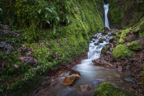 Jual Poster Moss Nature Stream Waterfall Waterfalls Waterfall APC