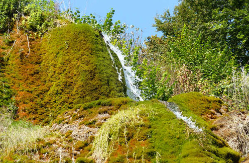 Jual Poster Moss Nature Waterfall Waterfalls Waterfall APC 001