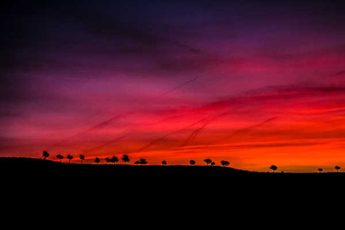 Jual Poster Nature Shadow Sky Sunset Earth Sunset APC