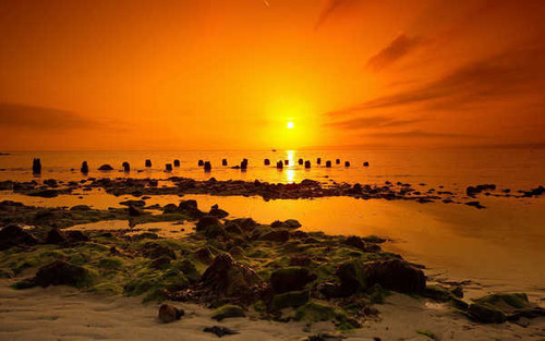 Jual Poster Ocean Rock Sea Sunset Yellow Earth Sunset APC