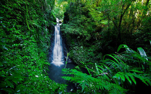Jual Poster Waterfalls Waterfall APC 201 Jual Poster Waterfalls Waterfall APC 201