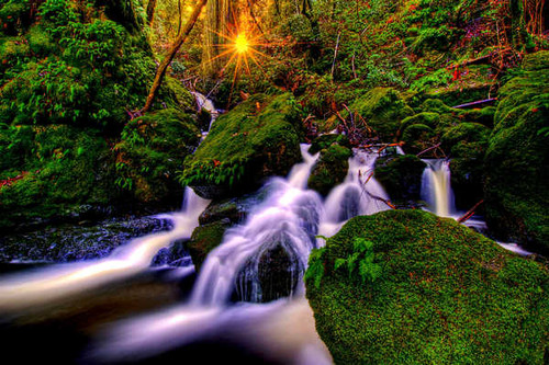 Jual Poster Waterfalls Waterfall APC 271