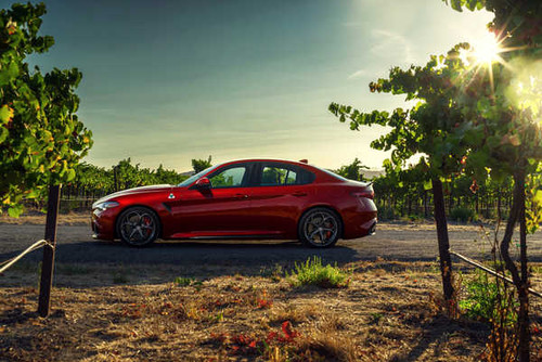 Jual Poster Alfa Romeo Fields 2015 1Z Jual Poster Alfa Romeo Fields 2015 1Z