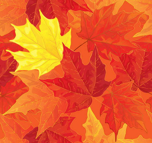 Jual Poster Autumn Closeup Foliage 1Z 007