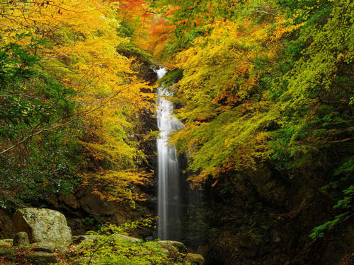 Jual Poster Autumn Waterfalls Crag 1Z
