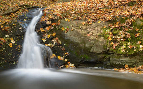 Jual Poster Autumn Waterfalls Foliage Stream Moss 1Z