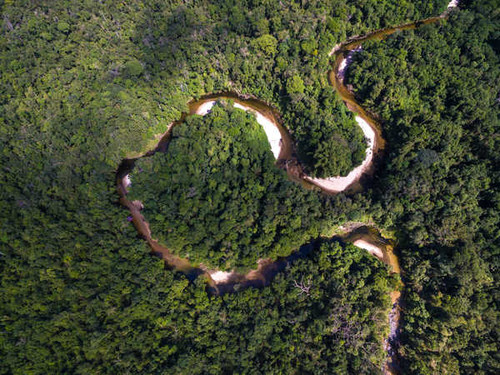 Jual Poster Brazil Forests Rivers Amazon Jungle From above 1Z