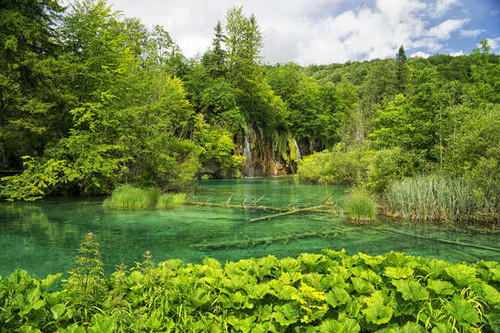 Jual Poster Croatia Parks Waterfalls Lake Forests Plitvice 1Z