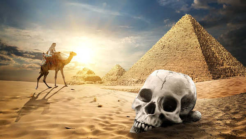 Jual Poster Desert Skulls Camels Sand Pyramid 1Z