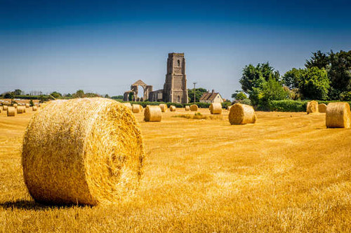 Jual Poster England Fields Covehithe Hay 1Z