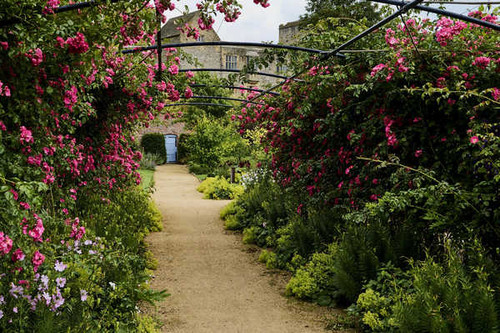 Jual Poster England Gardens Roses Helmsley Castle Garden 1Z