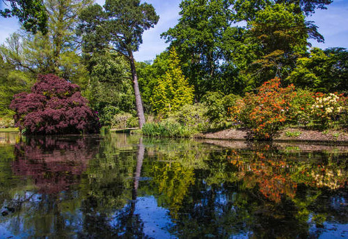 Jual Poster England Parks Pond Exbury Gardens Trees Shrubs 1Z