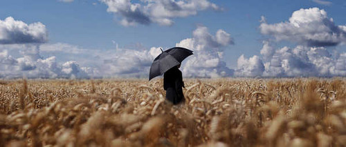 Jual Poster Fields Men Sky Umbrella 1Z Jual Poster Fields Men Sky Umbrella 1Z