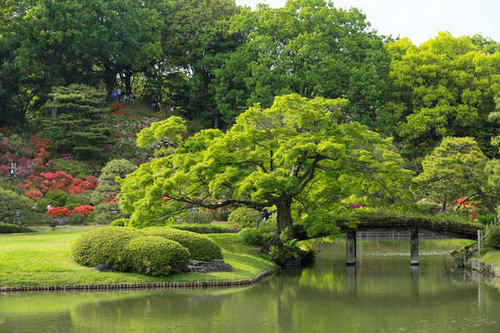 Jual Poster Gardens Pond Tokyo Japan 1Z