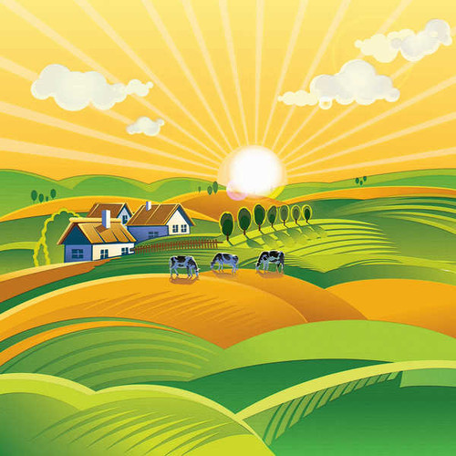 Jual Poster Grasslands Houses Cow Vector Graphics farm Sun 1Z