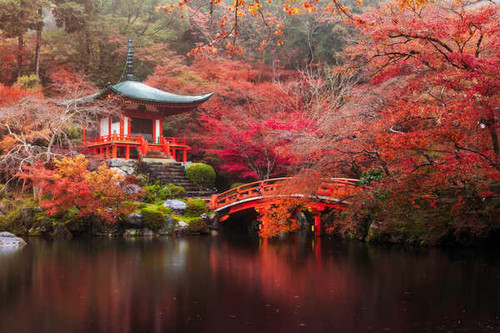 Jual Poster Japan Autumn Parks 1Z
