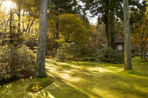 Jual Poster Japan Kyoto Parks Autumn Trees Shrubs 1Z