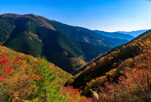 Jual Poster Japan Parks Mountains Autumn Nara Park 1Z