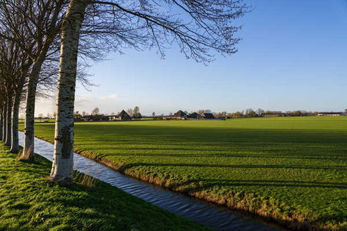 Jual Poster Netherlands Fields Oudendijk Canal Trees 1Z