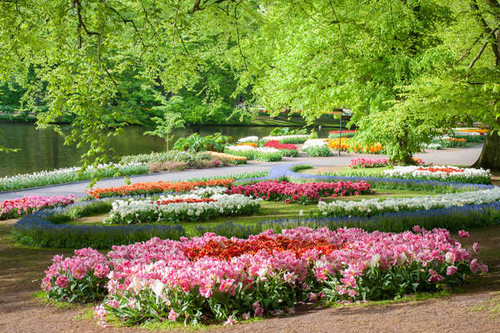 Jual Poster Netherlands Parks Tulips 1Z 001