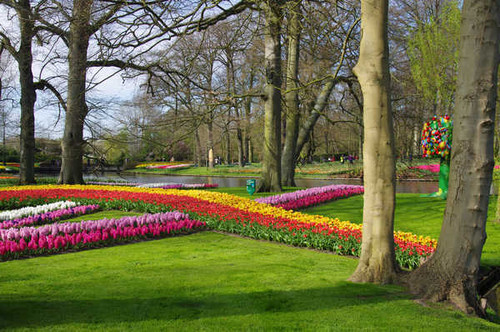 Jual Poster Netherlands Parks Tulips Hyacinths Keukenhof Lawn 1Z