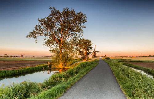 Jual Poster Netherlands Roads Fields Alblasserwaard Mill Trees 1Z