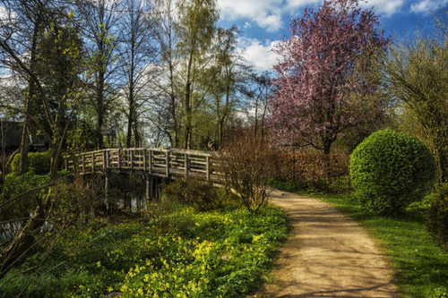 Jual Poster Netherlands Spring Bridges Wijdemeren Shrubs 1Z