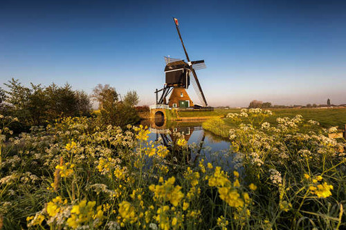 Jual Poster Netherlands Streefkerk Zuid Holland Mill Trees 1Z
