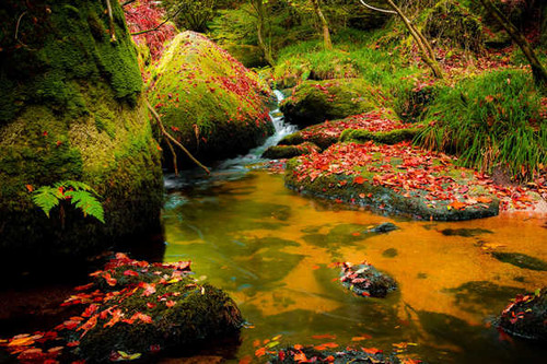Jual Poster Parks Autumn Stones Waterfalls Moss Foliage 1Z