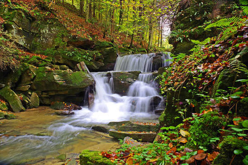 Jual Poster Poland Stones Autumn Waterfalls Bieszczady Moss 1Z