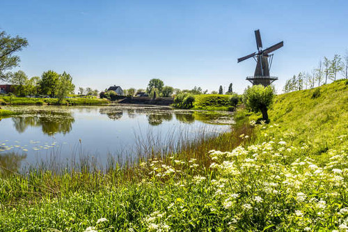 Jual Poster Pond Summer Scenery Mill Grass 1Z