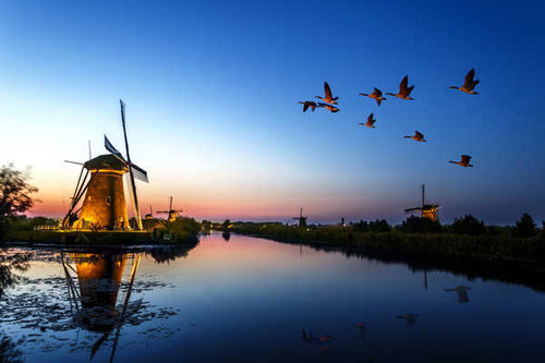 Jual Poster Rivers Evening Birds Ducks Mill 1Z